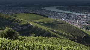 Domaine Michelas St Jemms